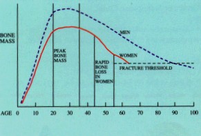 Graph showing loss of bone mass with age